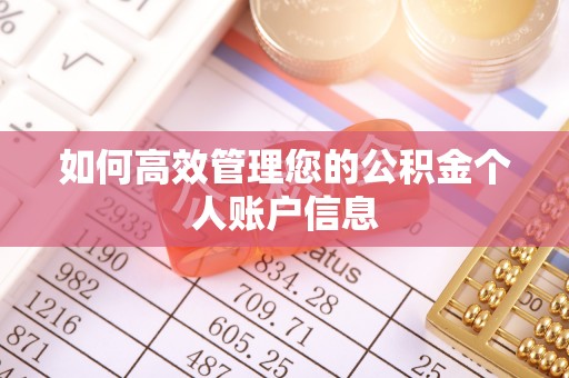 花莲如何高效管理您的公积金个人账户信息