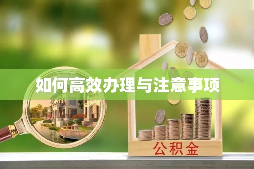 花莲如何高效办理与注意事项