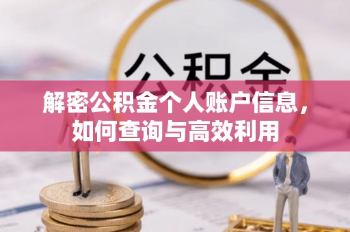 花莲解密公积金个人账户信息，如何查询与高效利用