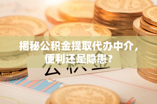 花莲揭秘公积金提取代办中介，便利还是隐患？