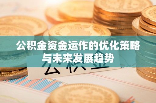 花莲公积金资金运作的优化策略与未来发展趋势