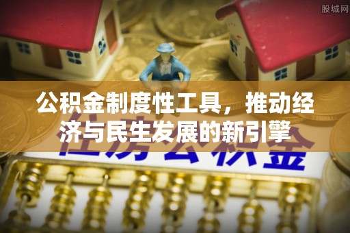 花莲公积金制度性工具，推动经济与民生发展的新引擎