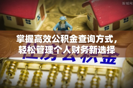 花莲掌握高效公积金查询方式，轻松管理个人财务新选择