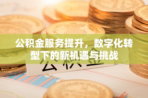 花莲公积金服务提升，数字化转型下的新机遇与挑战