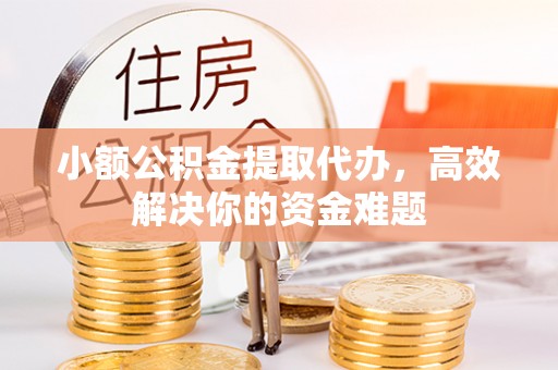 花莲小额公积金提取代办，高效解决你的资金难题