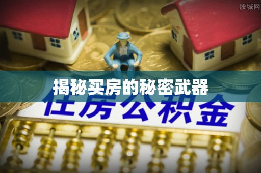花莲揭秘买房的秘密武器