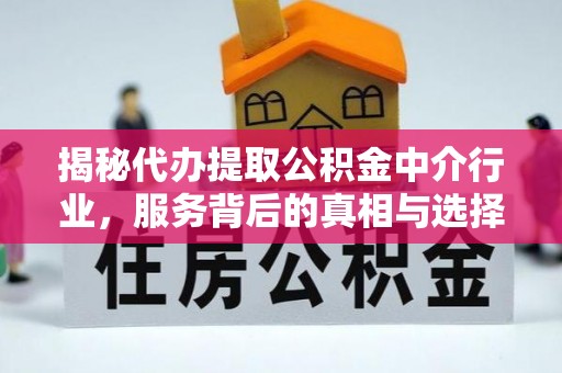 花莲揭秘代办提取公积金中介行业，服务背后的真相与选择指南