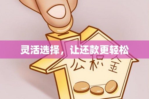 花莲灵活选择，让还款更轻松