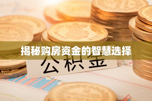 花莲揭秘购房资金的智慧选择