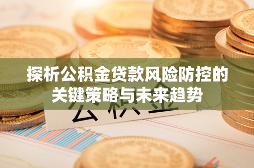 花莲探析公积金贷款风险防控的关键策略与未来趋势