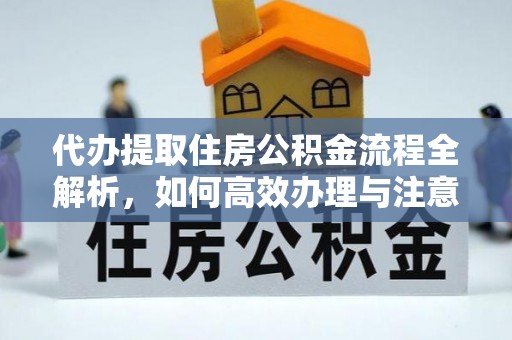 花莲代办提取住房公积金流程全解析，如何高效办理与注意事项