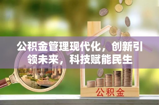 花莲公积金管理现代化，创新引领未来，科技赋能民生