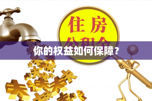 花莲你的权益如何保障？