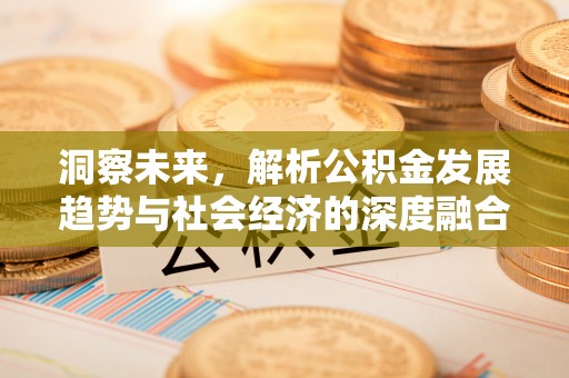 花莲洞察未来，解析公积金发展趋势与社会经济的深度融合