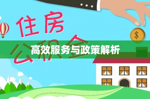 花莲高效服务与政策解析