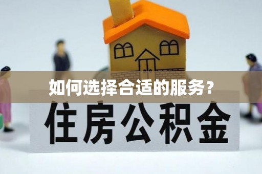 花莲如何选择合适的服务？