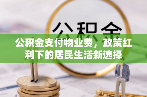 花莲公积金支付物业费，政策红利下的居民生活新选择