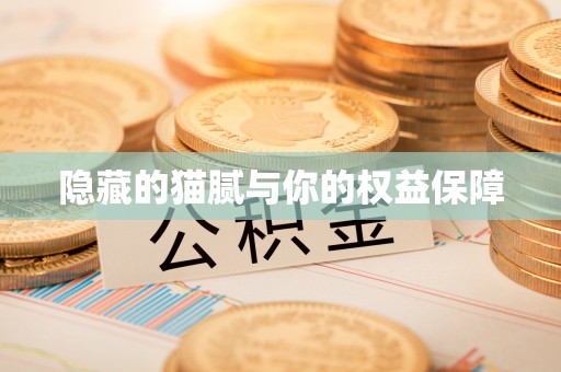 花莲隐藏的猫腻与你的权益保障