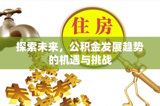 花莲探索未来，公积金发展趋势的机遇与挑战