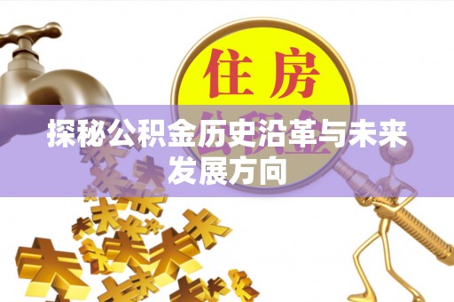 花莲探秘公积金历史沿革与未来发展方向
