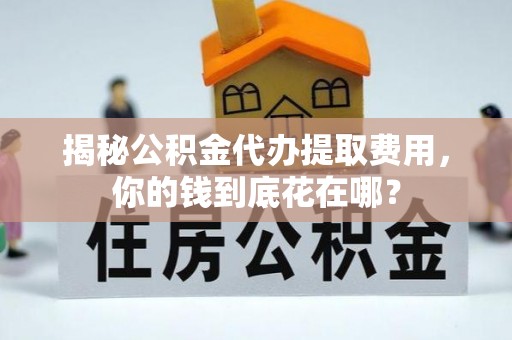 花莲揭秘公积金代办提取费用，你的钱到底花在哪？