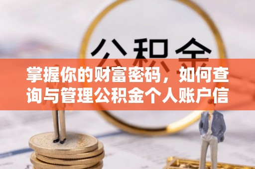 花莲掌握你的财富密码，如何查询与管理公积金个人账户信息