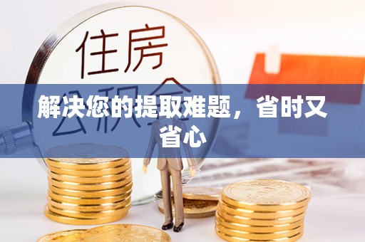 花莲解决您的提取难题，省时又省心
