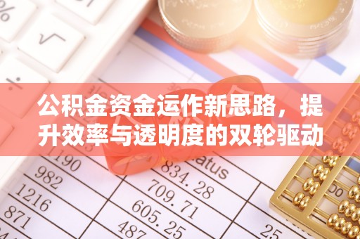 花莲公积金资金运作新思路，提升效率与透明度的双轮驱动