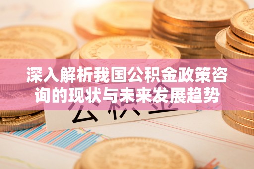 花莲深入解析我国公积金政策咨询的现状与未来发展趋势