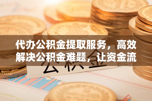 花莲代办公积金提取服务，高效解决公积金难题，让资金流动更自由
