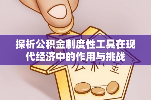 花莲探析公积金制度性工具在现代经济中的作用与挑战