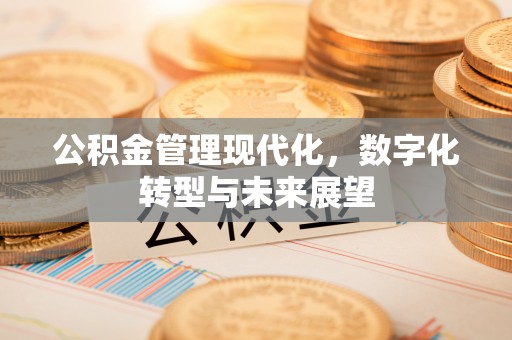 花莲公积金管理现代化，数字化转型与未来展望
