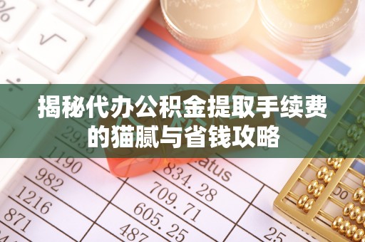 花莲揭秘代办公积金提取手续费的猫腻与省钱攻略