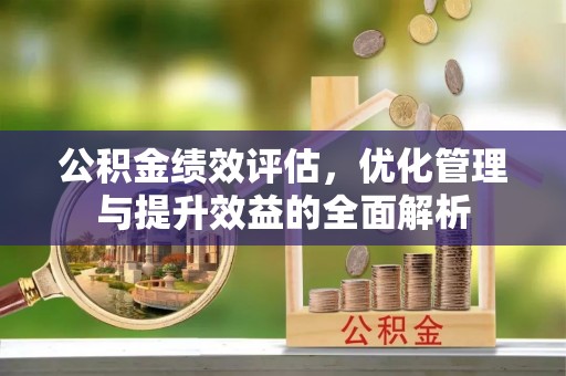 花莲公积金绩效评估，优化管理与提升效益的全面解析