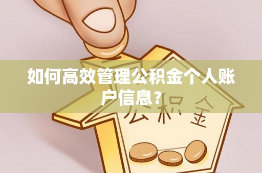花莲如何高效管理公积金个人账户信息？