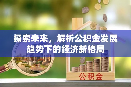 花莲探索未来，解析公积金发展趋势下的经济新格局