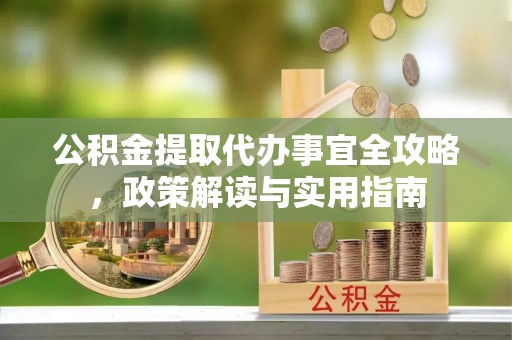 花莲公积金提取代办事宜全攻略，政策解读与实用指南