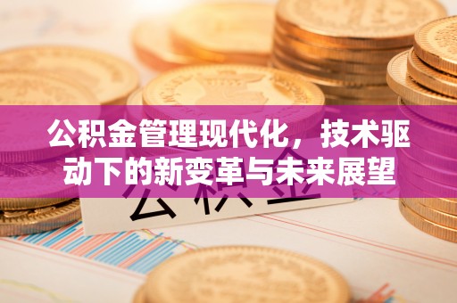 花莲公积金管理现代化，技术驱动下的新变革与未来展望