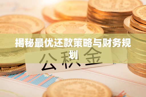 花莲揭秘最优还款策略与财务规划