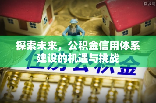 花莲探索未来，公积金信用体系建设的机遇与挑战