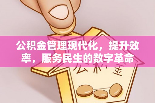 花莲公积金管理现代化，提升效率，服务民生的数字革命