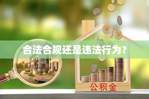 花莲合法合规还是违法行为？