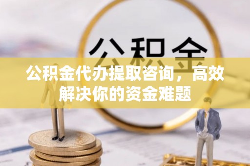 花莲公积金代办提取咨询，高效解决你的资金难题