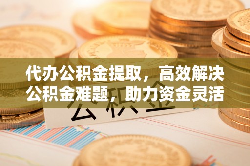 花莲代办公积金提取，高效解决公积金难题，助力资金灵活使用