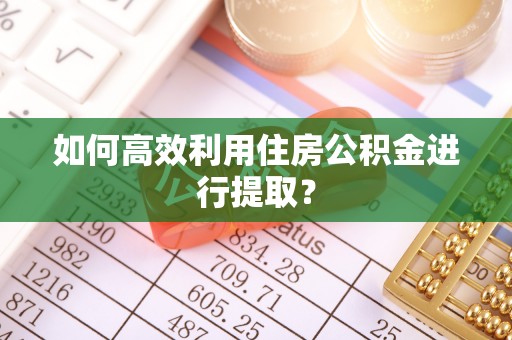 花莲如何高效利用住房公积金进行提取？