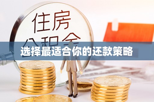 花莲选择最适合你的还款策略